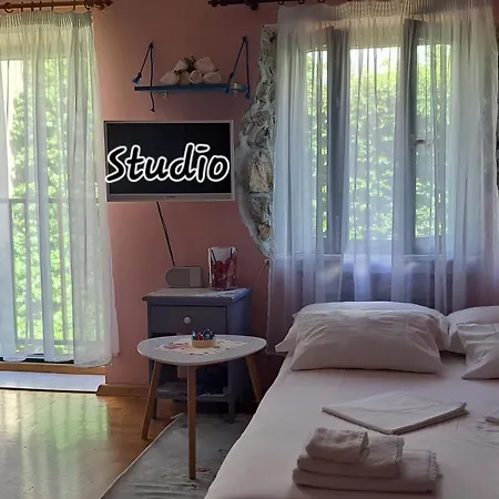 Tomecek * سيلتسي