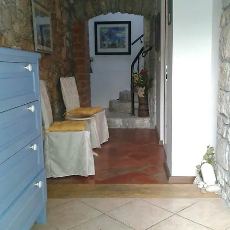 Tomecek * سيلتسي