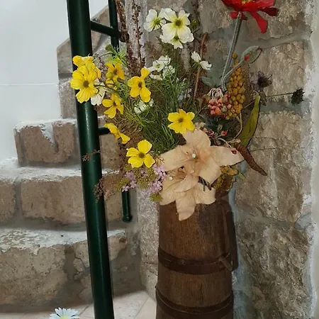 Apartmán Tomecek